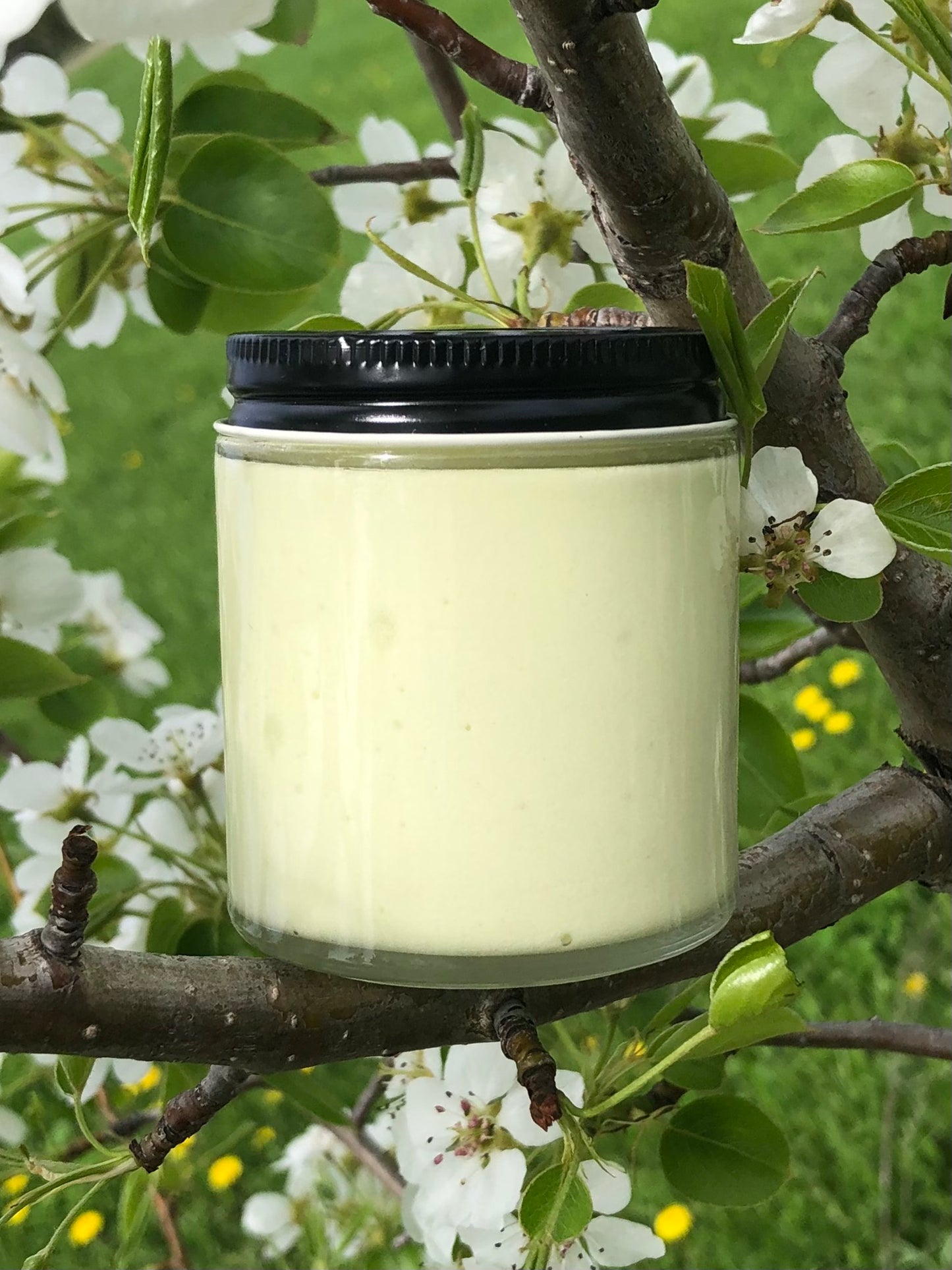 Rejuvenating Moisturizer 4 oz